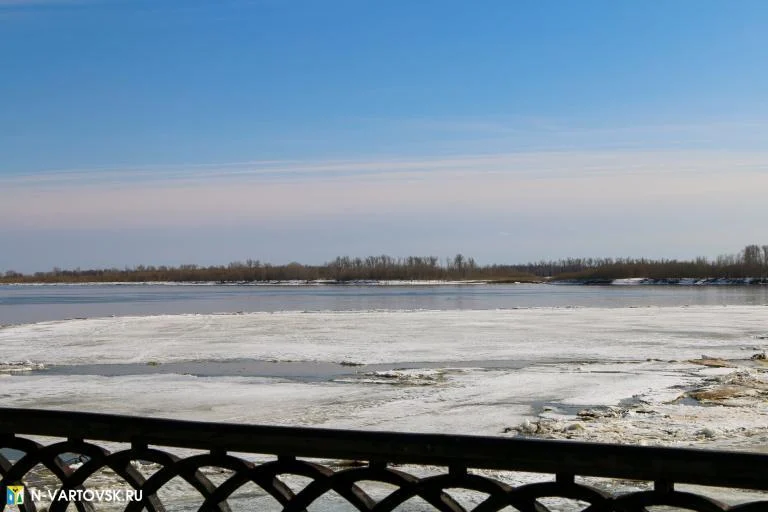 Уровень воды в реке Обь 