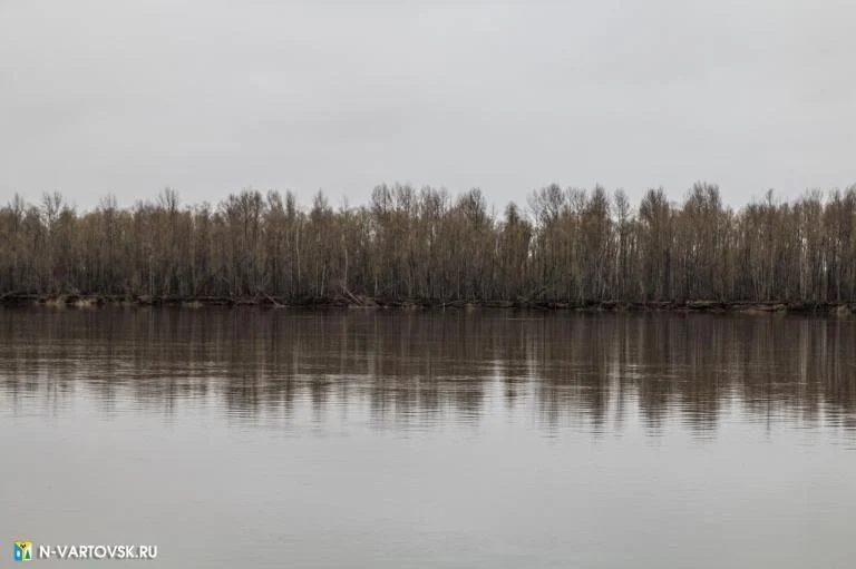 УРОВЕНЬ ВОДЫ В РЕКЕ ОБИ НА 11 МАЯ