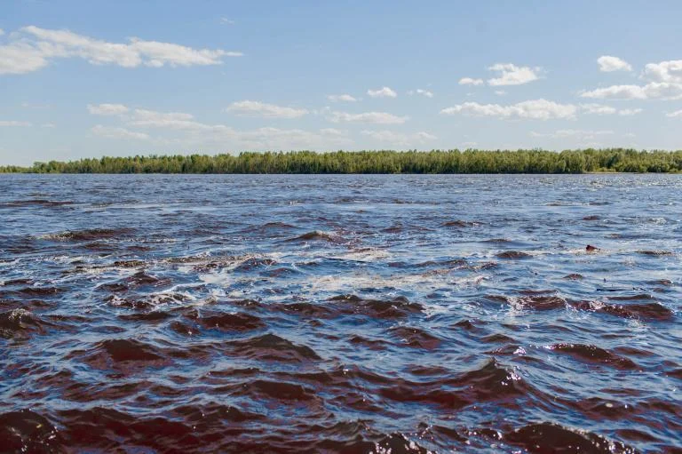 Уровень воды в реке Оби на 14 мая