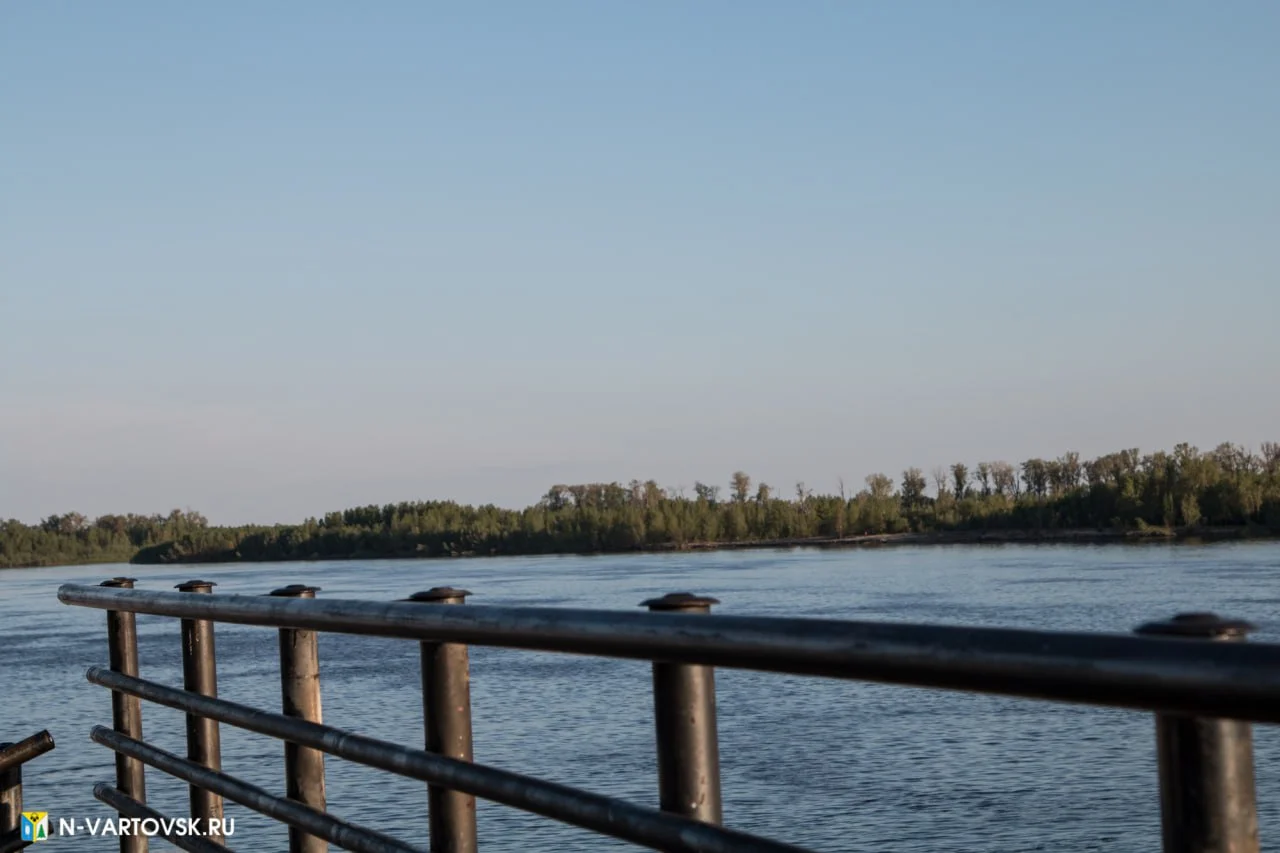 Уровень воды в реке Оби на 2 июня