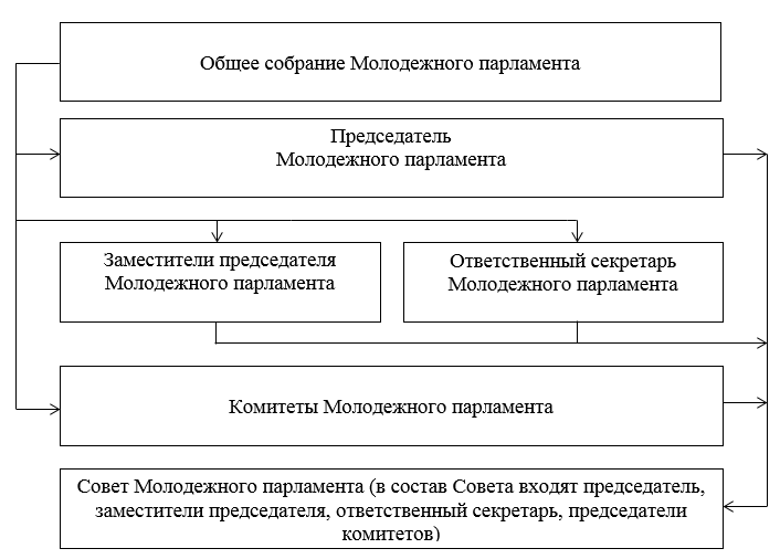 Структура Молодежного парламента: Структура Молодежного парламента